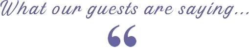 What Our Guests are saying